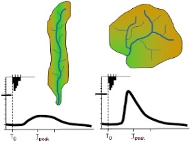 Catchment Shape and Hydrograph Response