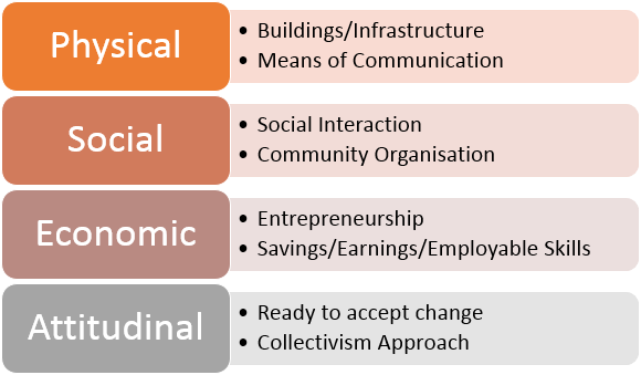 Disaster Management Capacity Types