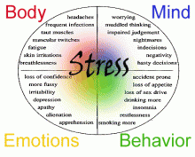Organizational Workplace Stress