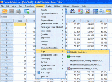 Reliability Analysis in SPSS